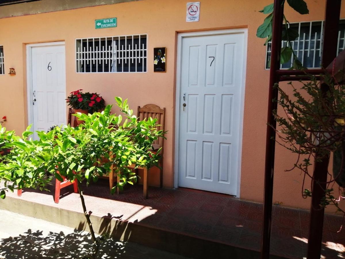 Hostal Mariella Эстели Экстерьер фото
